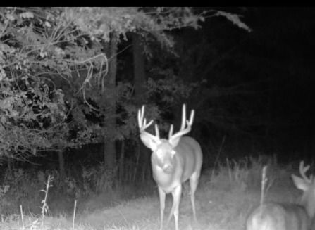Listing Photo: Mercer-County-IL-Buck-Deer-Farm-For-Sale